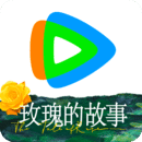 坐错了车和错过了车哪一个遗憾