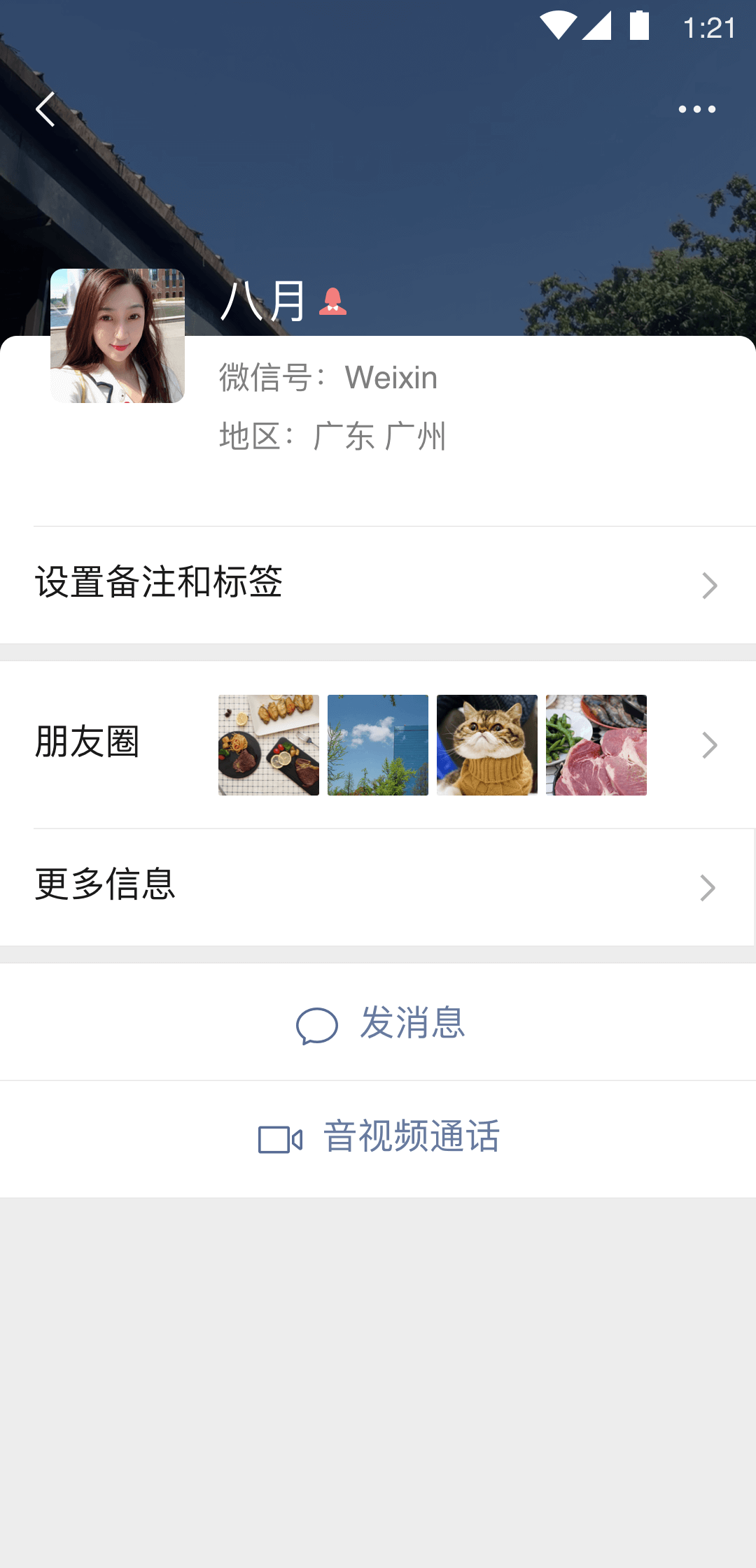 有很多只脚的昆虫截图